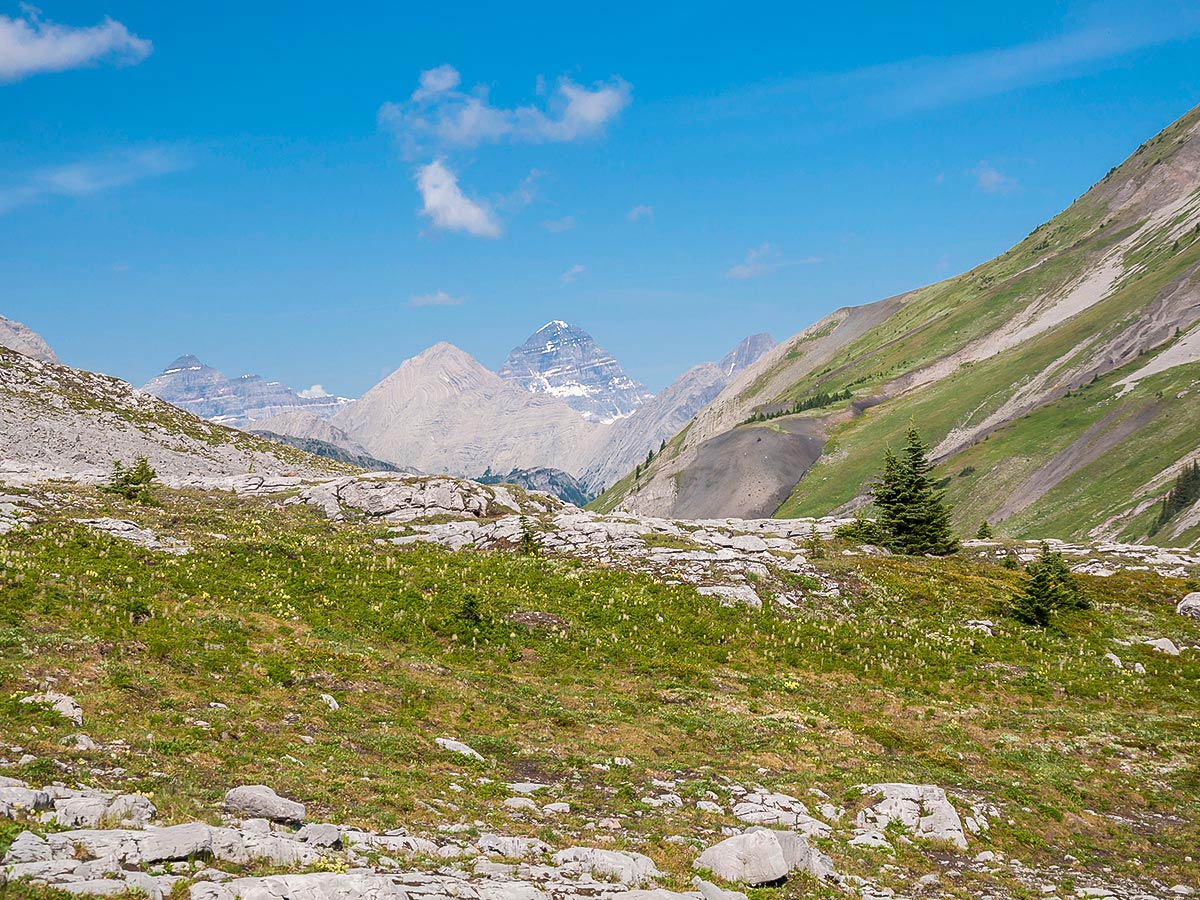 Mount Assiniboine on Snow Peak scramble in Kananaskis near Canmore, the Canadian Rockies