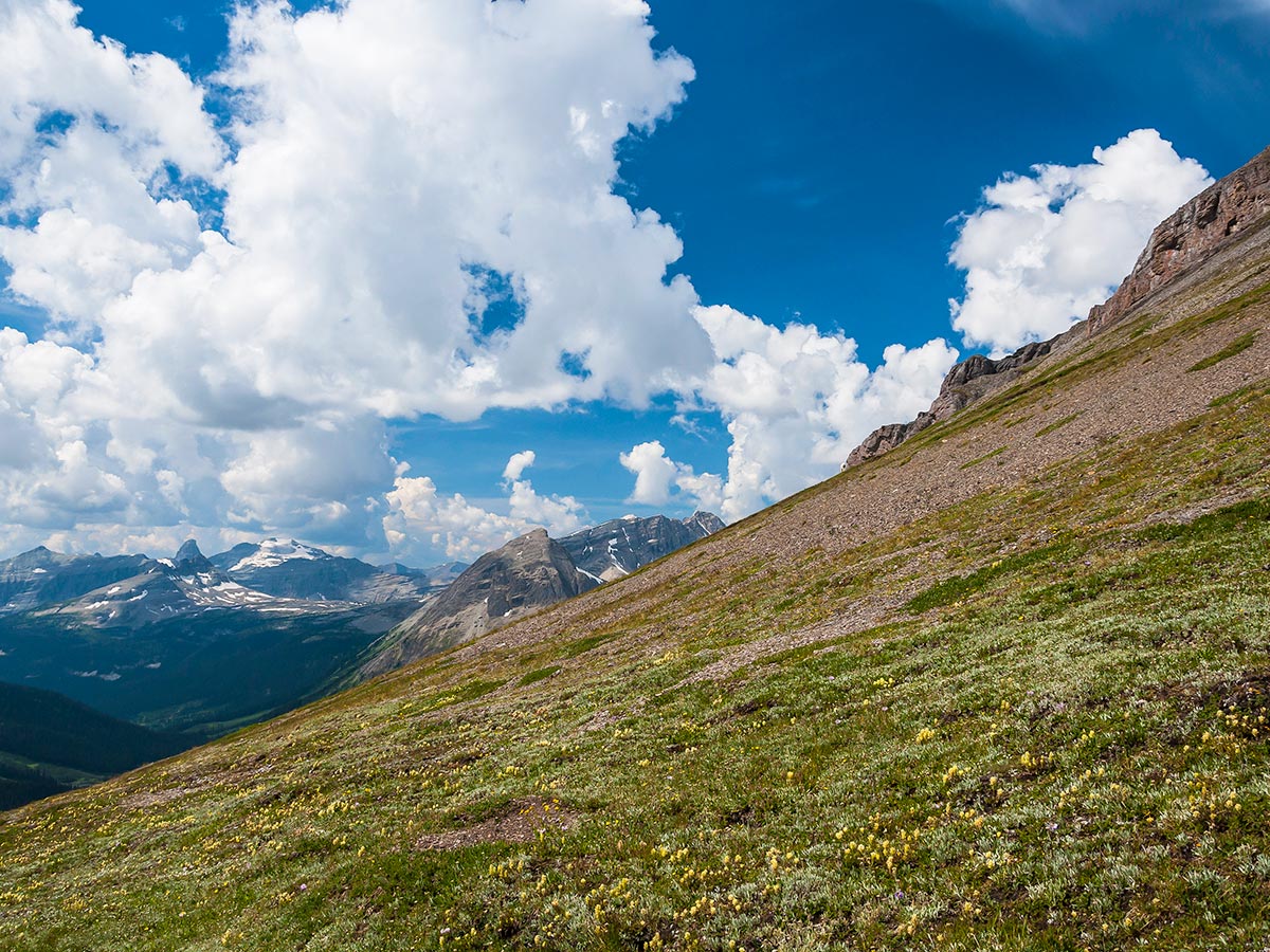 the Canadian Rockies on Snow Peak scramble in Kananaskis near Canmore, the Canadian Rockies