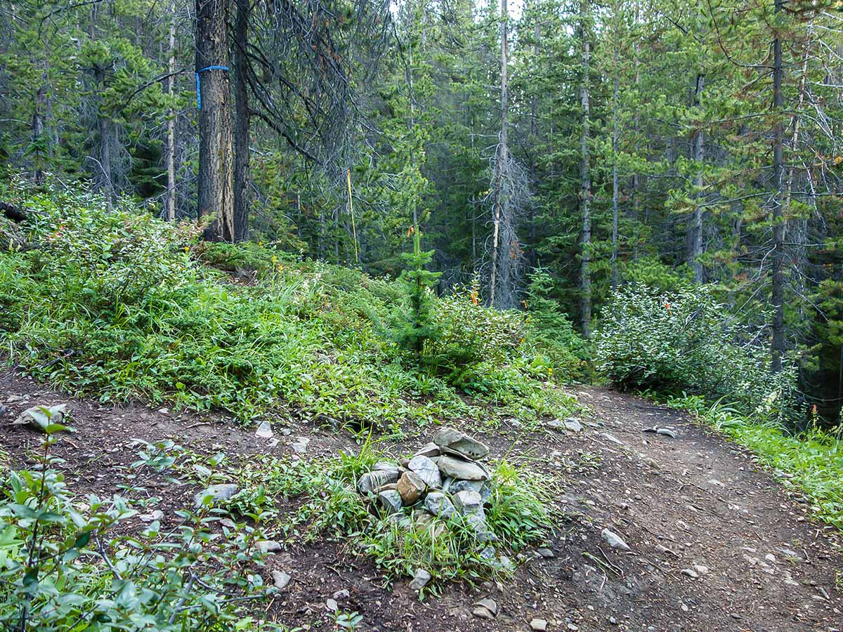 Trail of Mount Sparrowhawk scramble in Kananaskis near Canmore, the Canadian Rockies