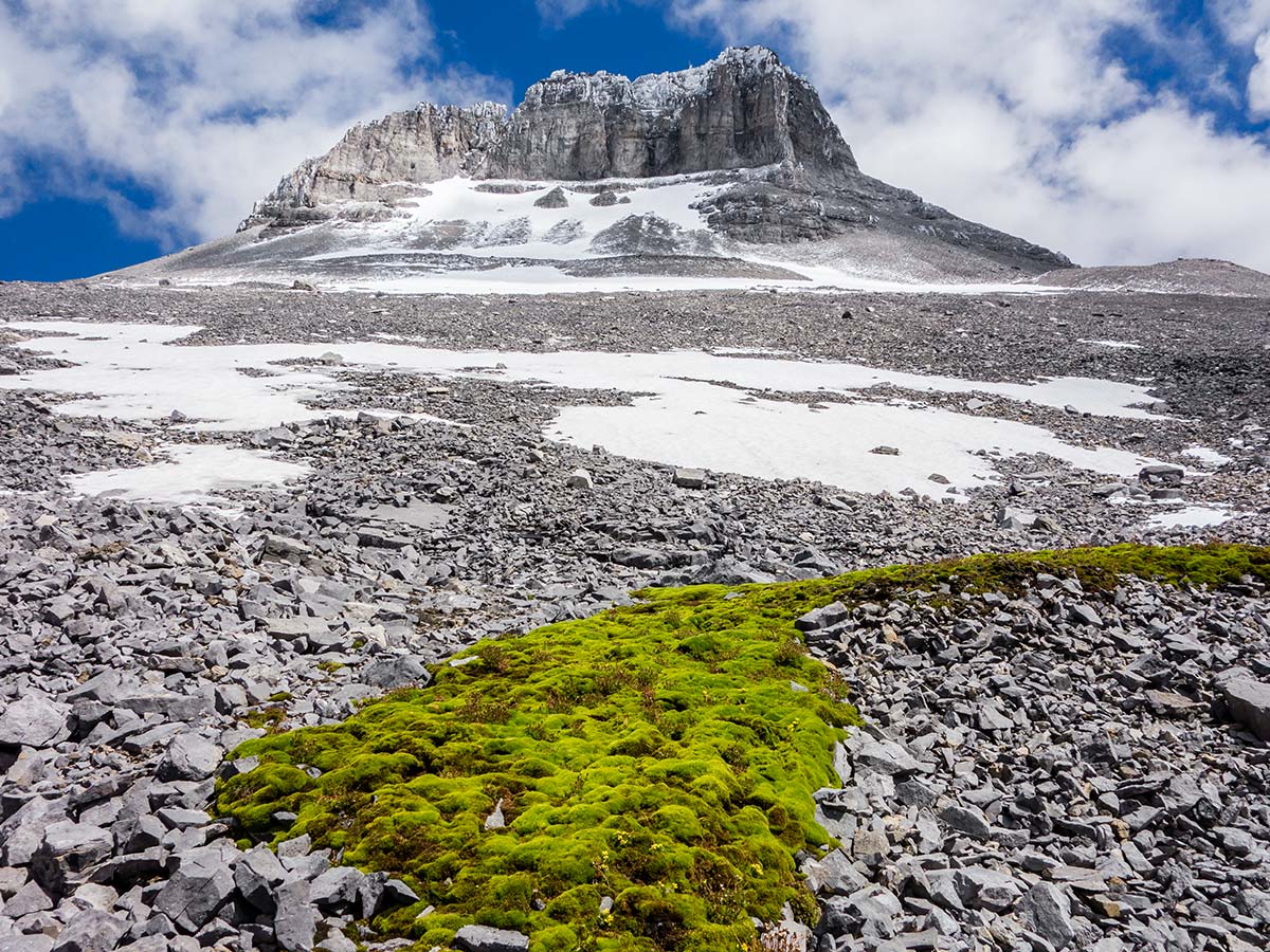 Ice melting on Mount Sparrowhawk scramble in Kananaskis near Canmore, the Canadian Rockies