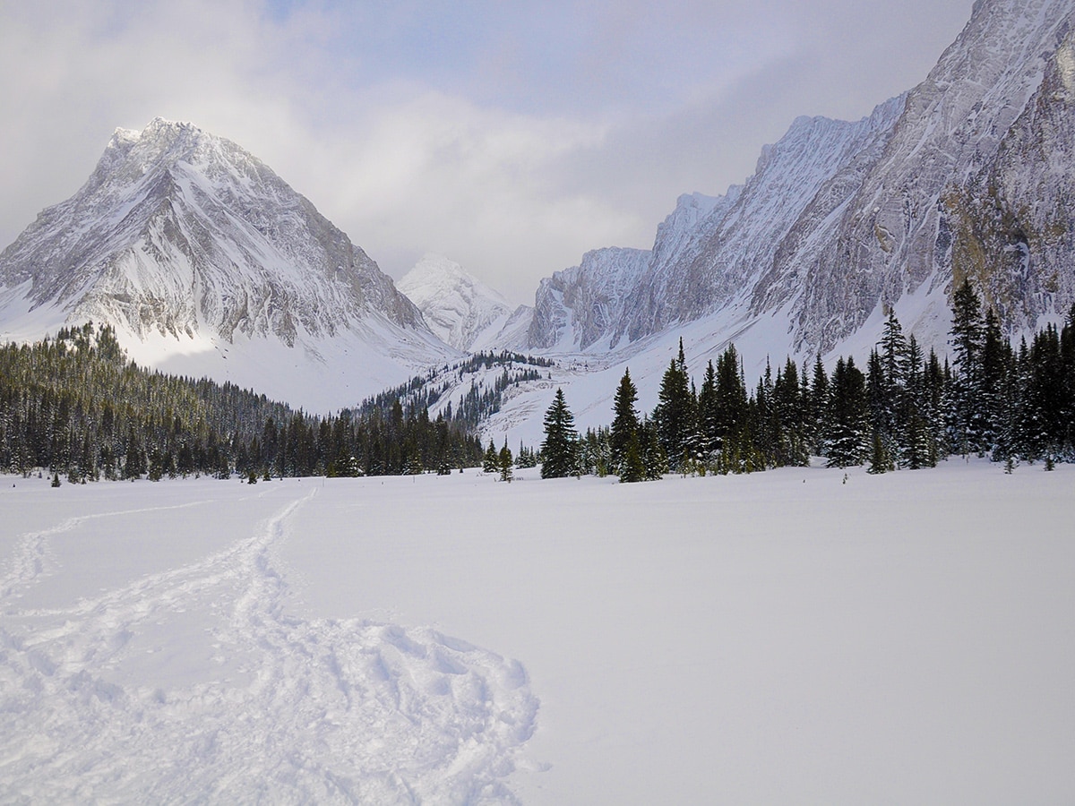 Snow covered meadows on Chester Lake snowshoe trail in Kananaskis near Canmore