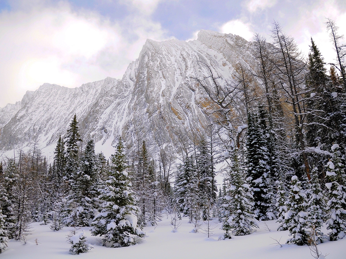 Mount Chester view from Chester Lake snowshoe trail in Kananaskis near Canmore