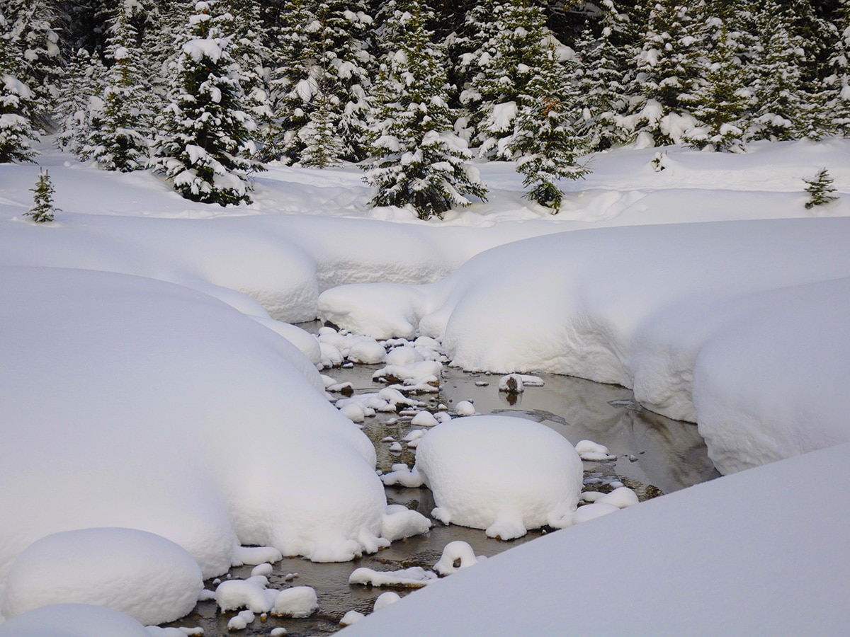 Chester Creek on Chester Lake snowshoe trail in Kananaskis near Canmore