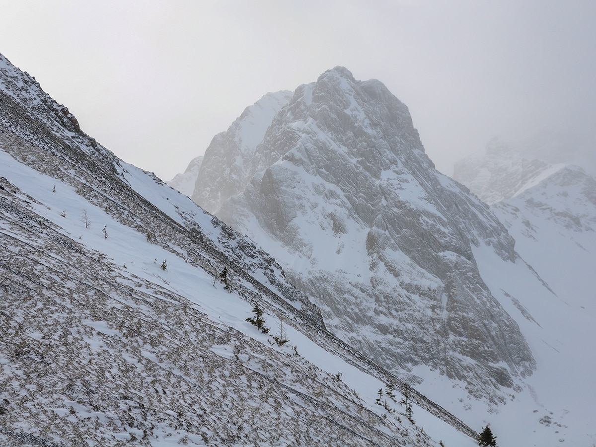 Commonwealth Ridge snowshoe trail in Kananaskis near Canmore