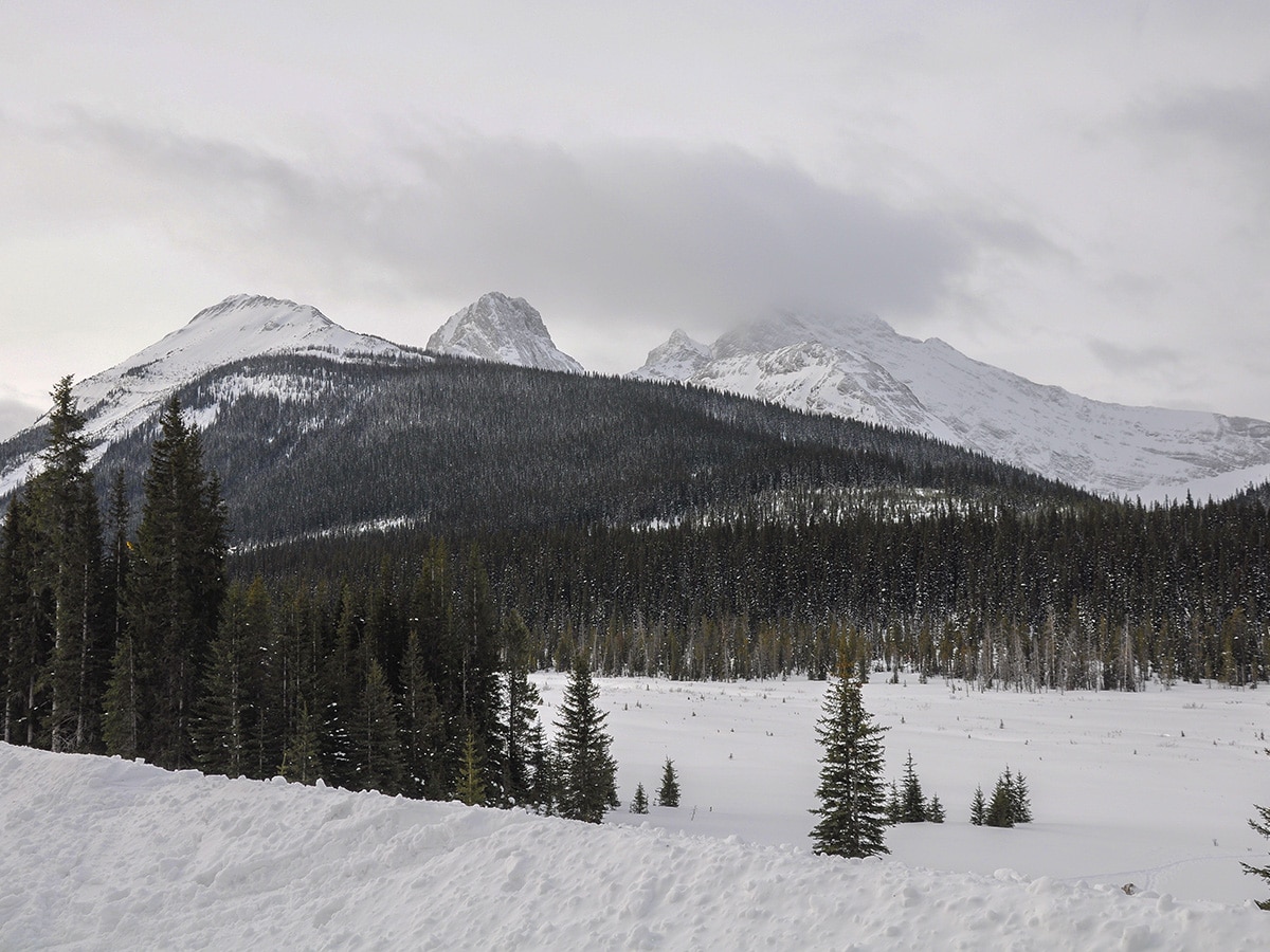 View from the trailhead of Commonwealth Ridge snowshoe trail in Kananaskis near Canmore