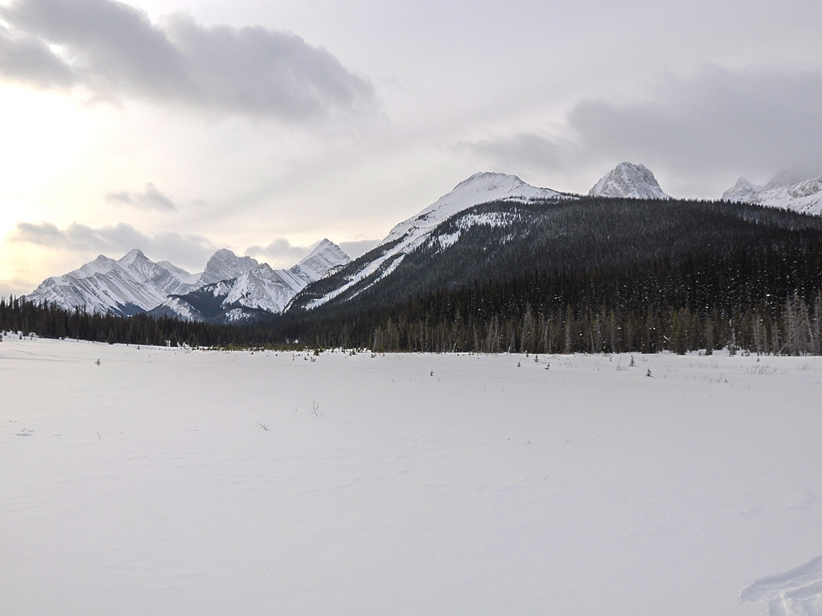 Scenery of Commonwealth Ridge snowshoe trail in Kananaskis near Canmore