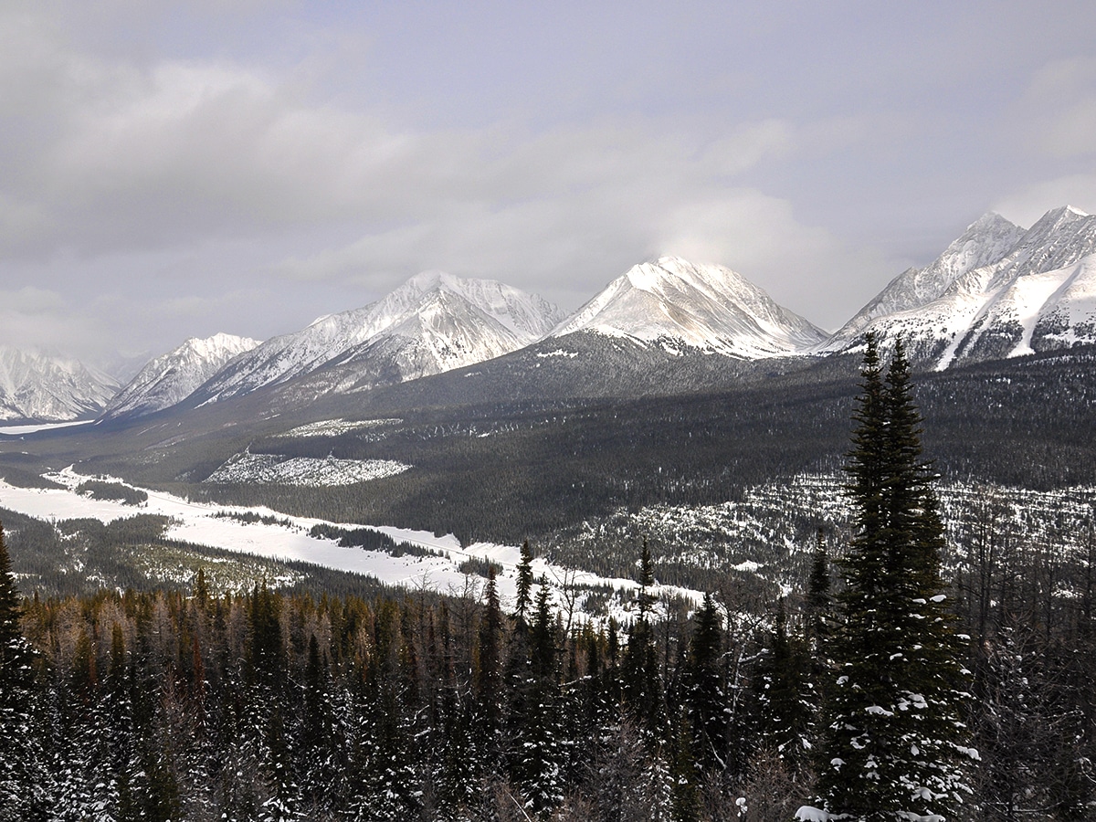 View from the top of Commonwealth Ridge snowshoe trail in Kananaskis near Canmore