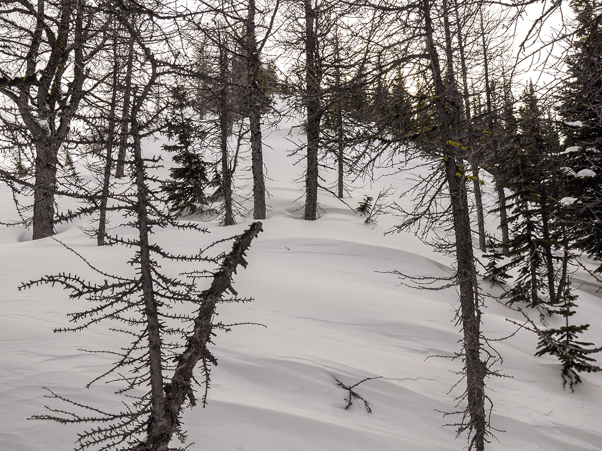 Ascending the ridge on Commonwealth Ridge snowshoe trail in Kananaskis near Canmore