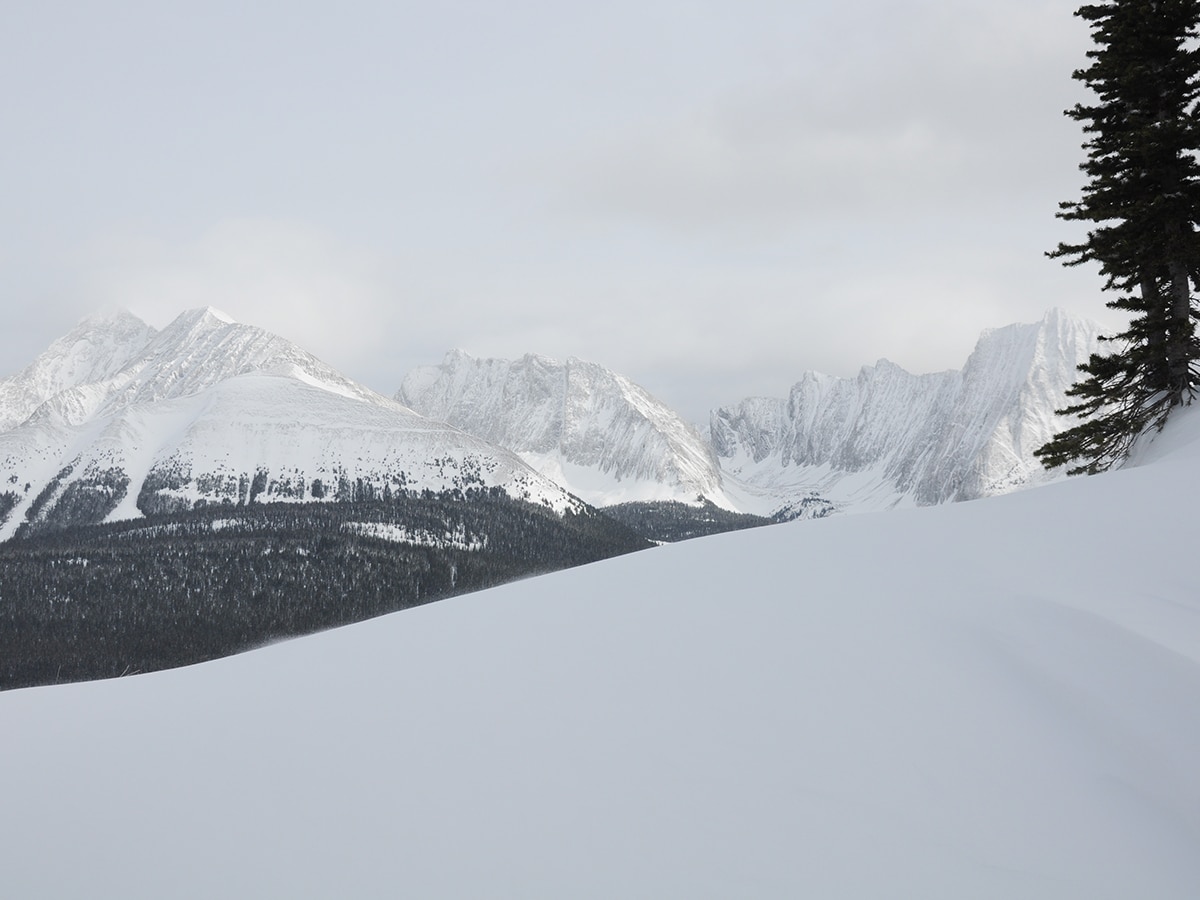 Nearing the top of Commonwealth Ridge snowshoe trail in Kananaskis near Canmore