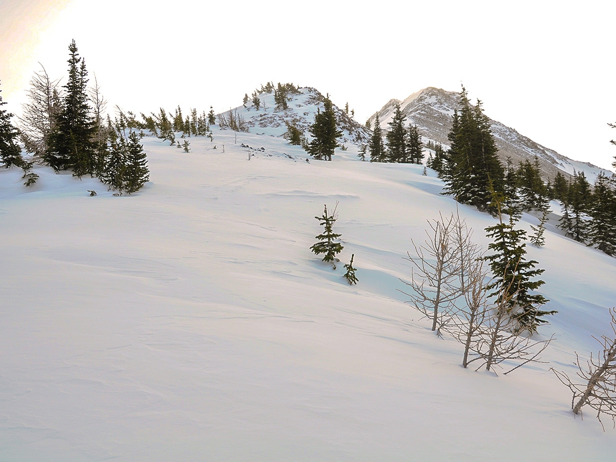 Ascending Commonwealth Ridge snowshoe trail in Kananaskis near Canmore