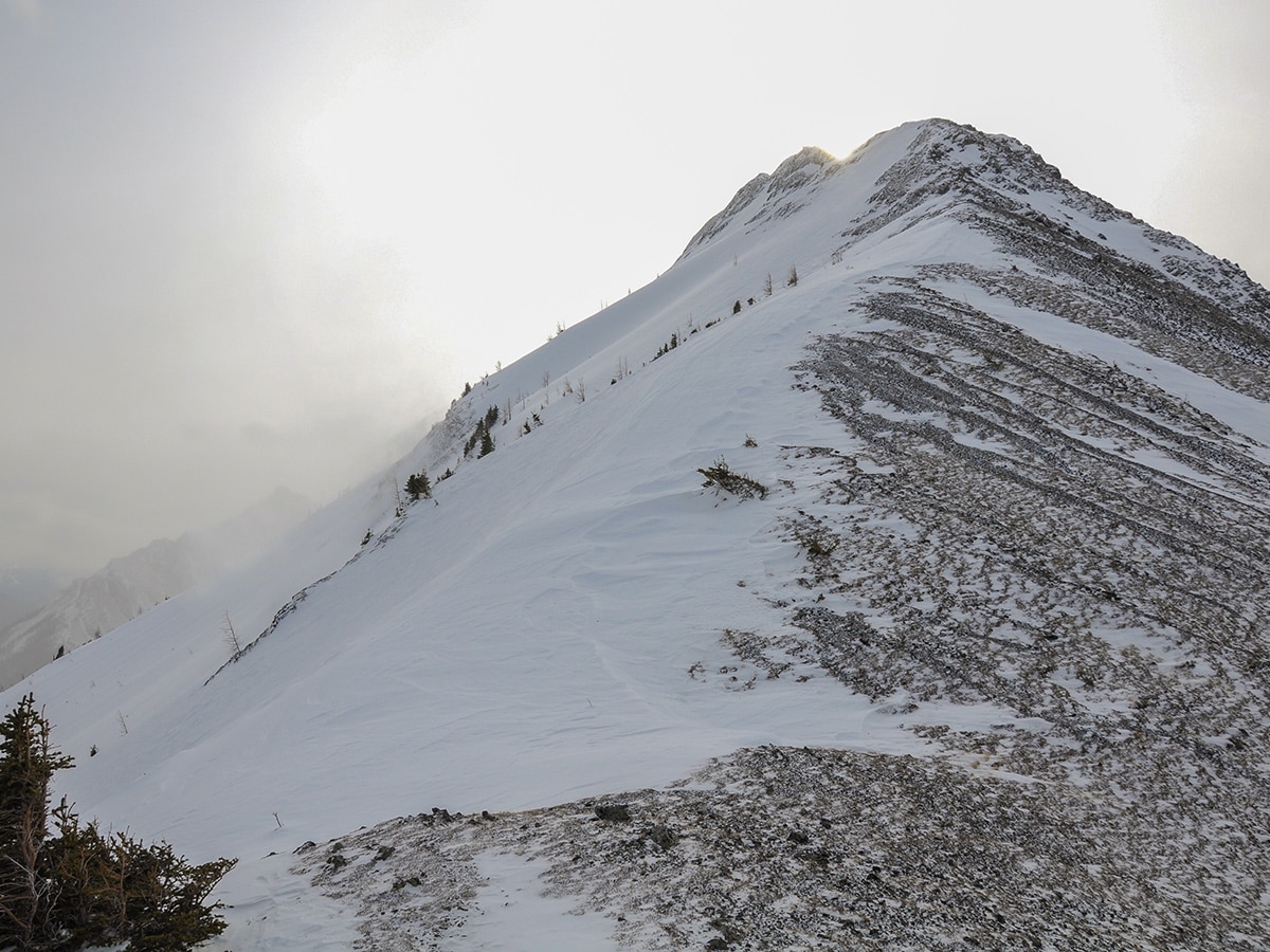 Scrambly part of Commonwealth Ridge snowshoe trail in Kananaskis near Canmore