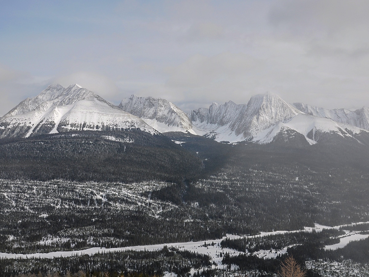 View east from Commonwealth Ridge snowshoe trail in Kananaskis near Canmore