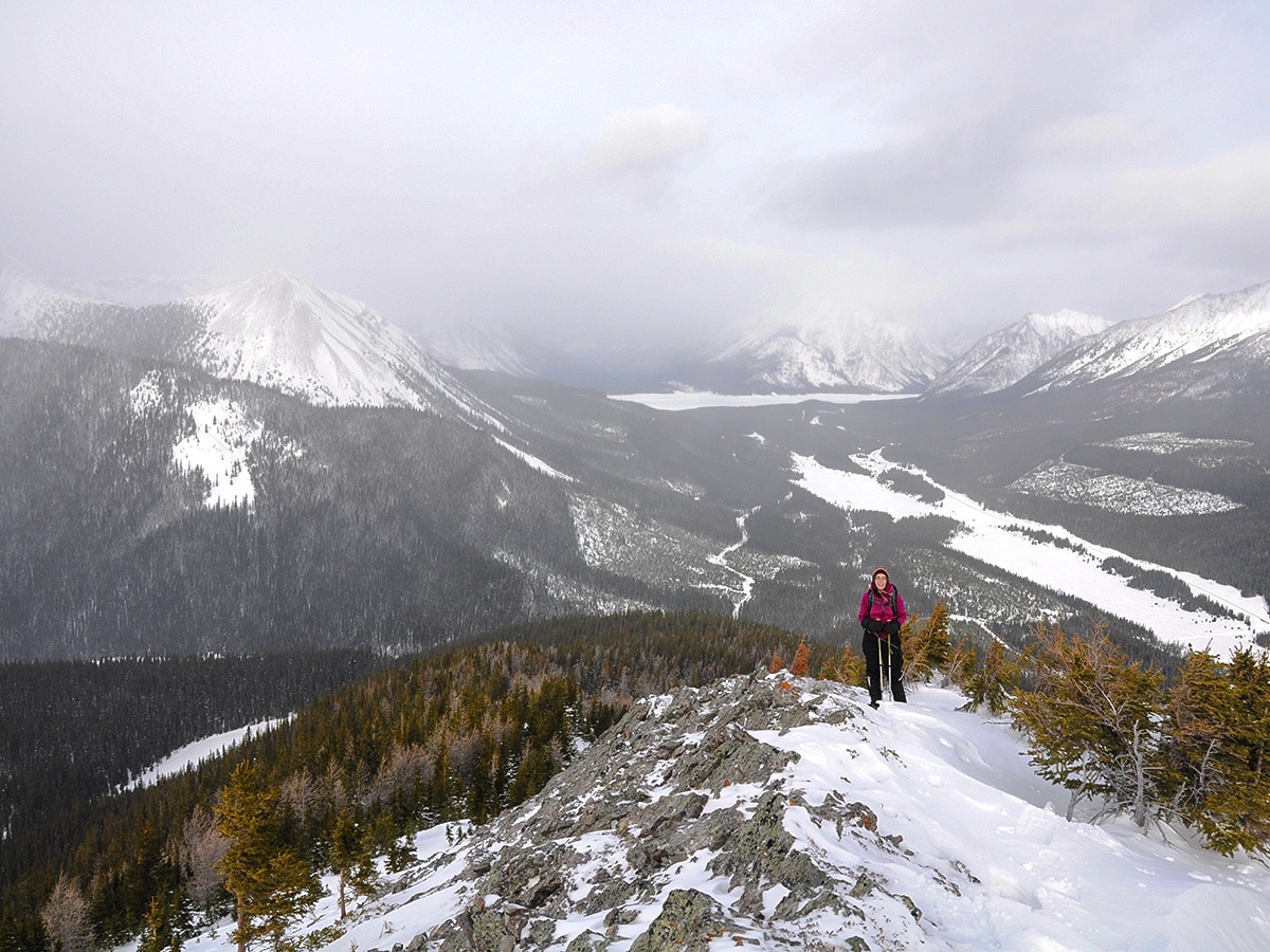 View north from Commonwealth Ridge snowshoe trail in Kananaskis near Canmore