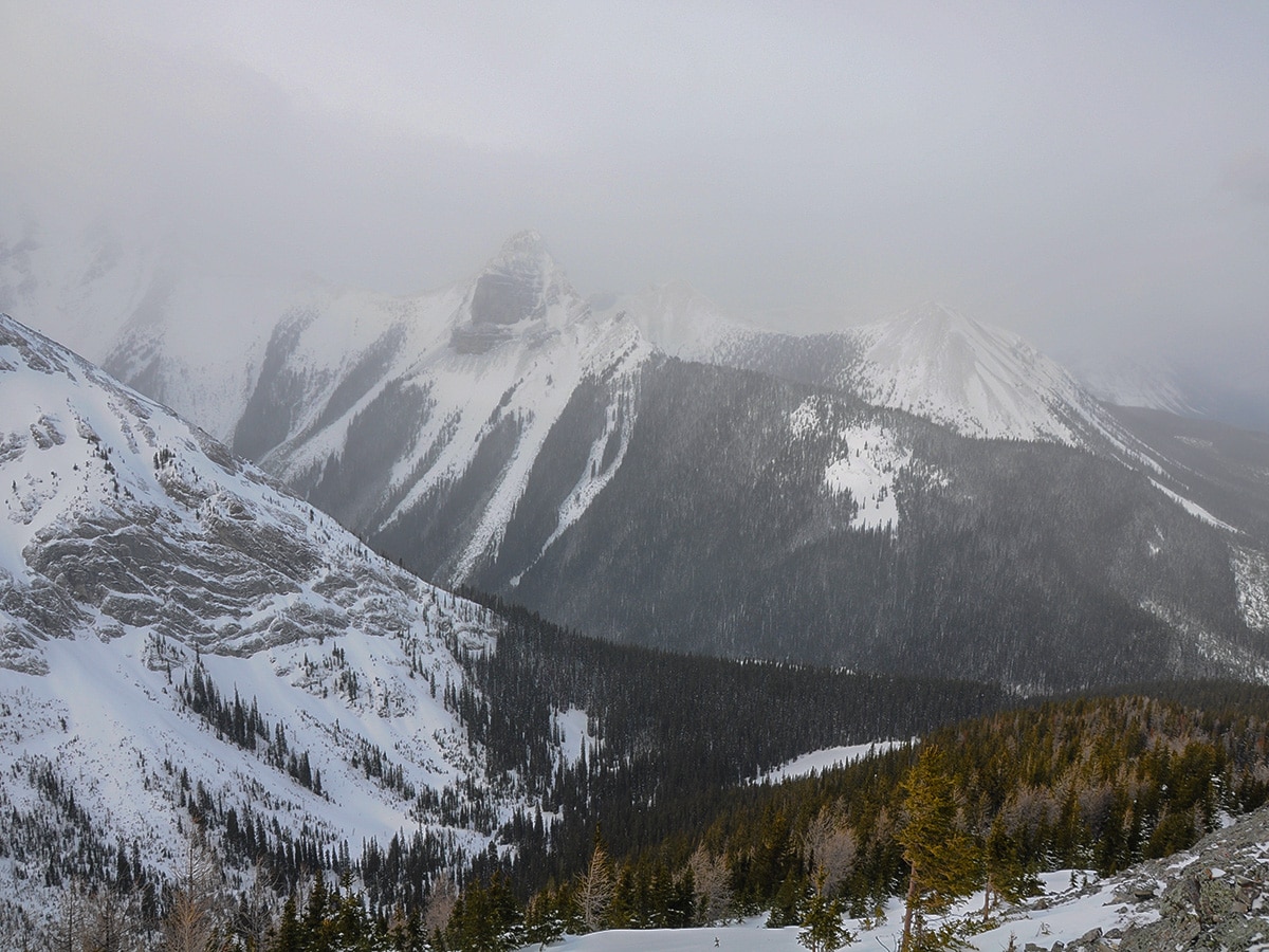 Tent Ridge from Commonwealth Ridge snowshoe trail in Kananaskis near Canmore