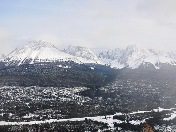 Scenery from Commonwealth Ridge snowshoeing trail in Kananaskis near Canmore