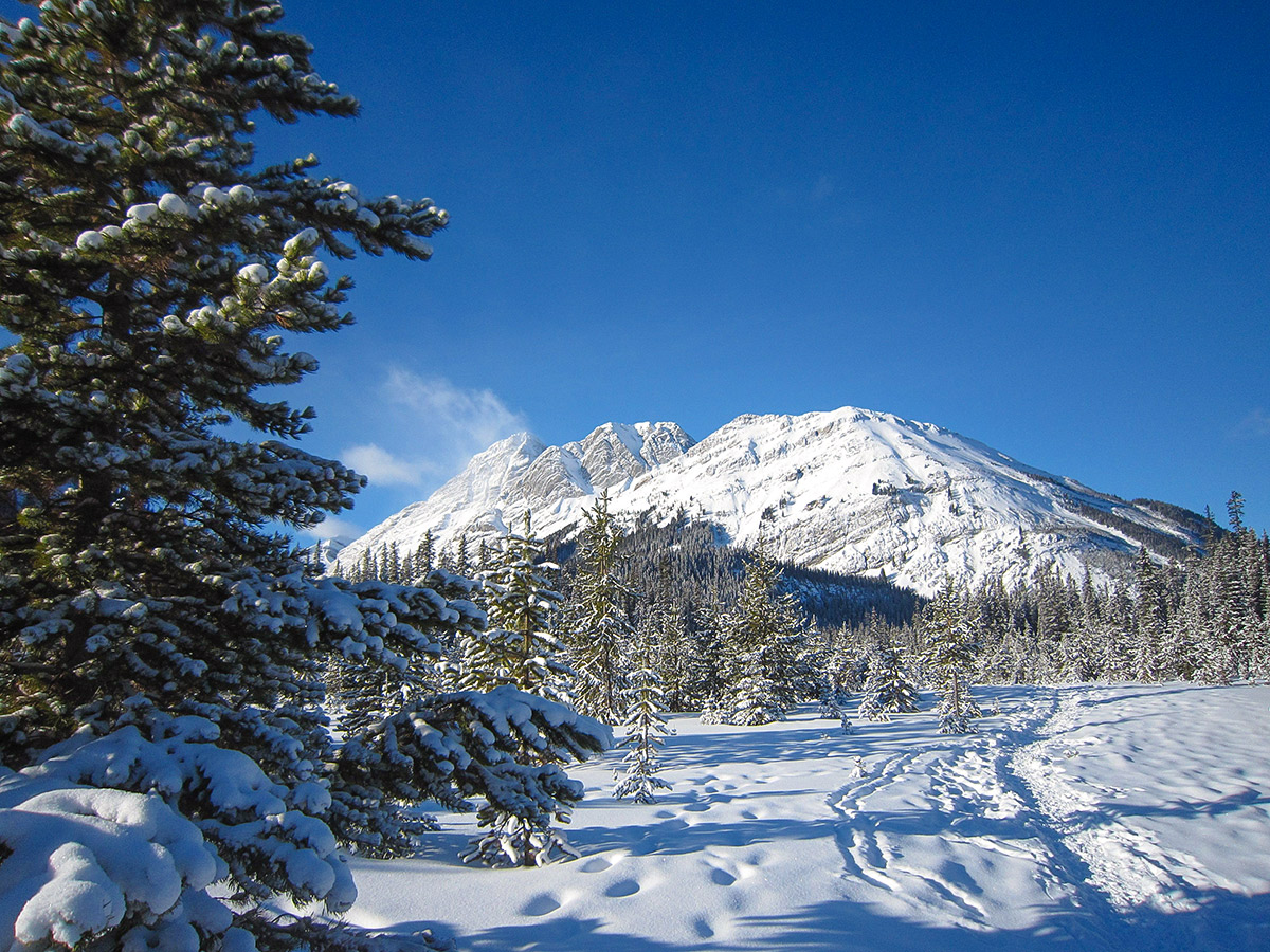 Hogarth Lakes snowshoe trail in Kananaskis near Canmore