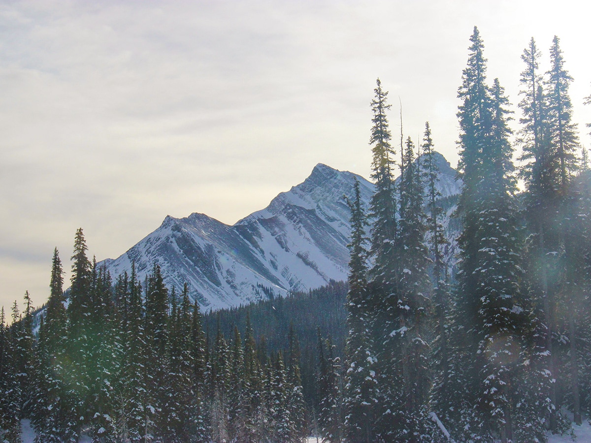 Great views from Hogarth Lakes snowshoe trail in Kananaskis near Canmore