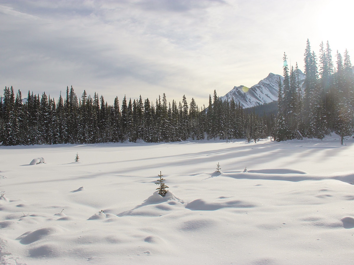 Panorama from Hogarth Lakes snowshoe trail in Kananaskis near Canmore