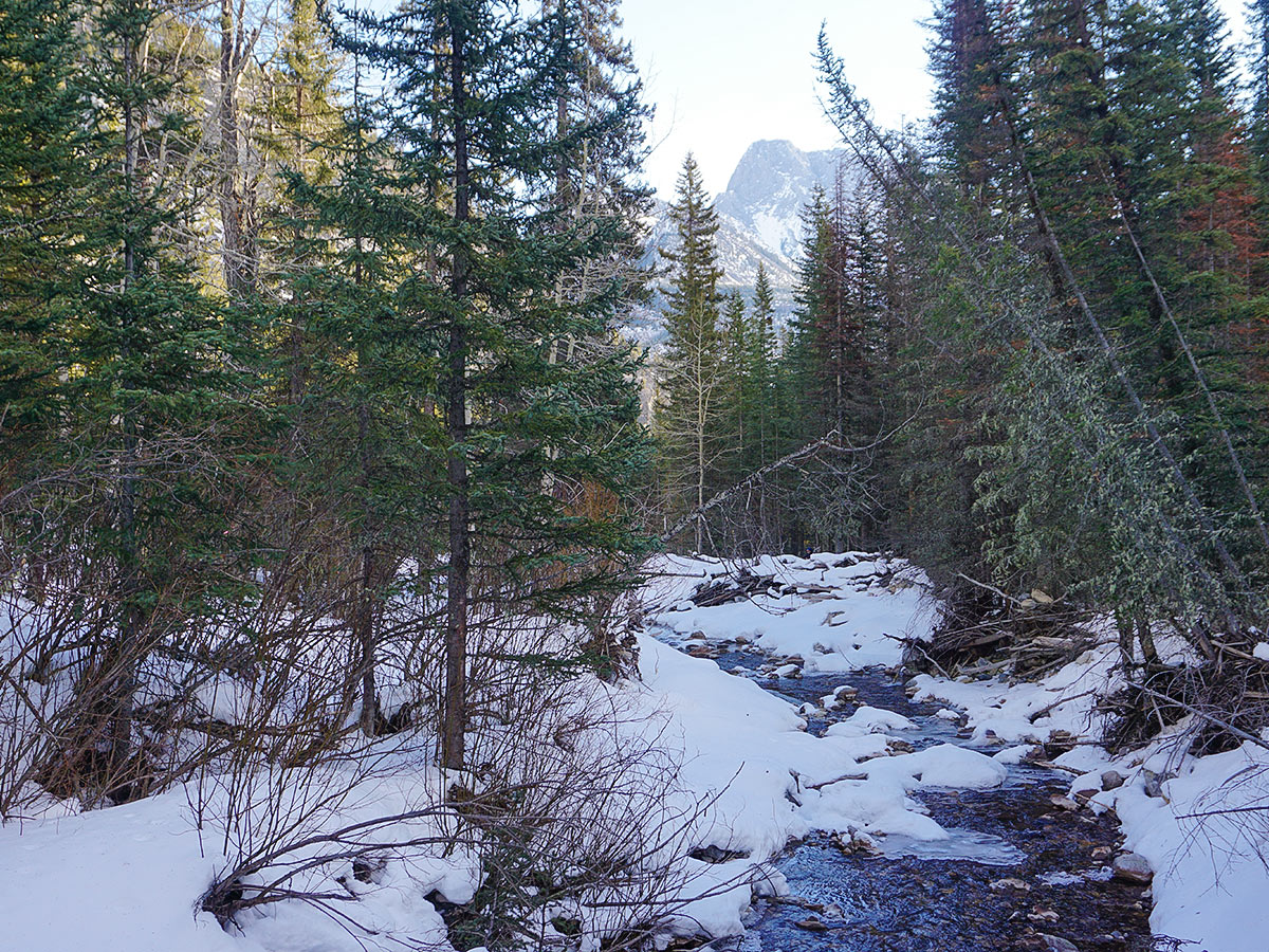 Beautiful views on Galatea Creek and Lillian Lake snowshoe trail in Kananaskis near Canmore