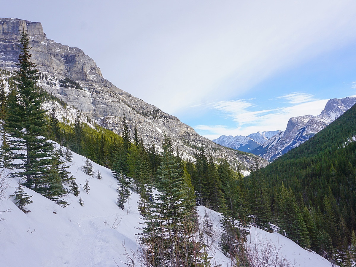 Panorama from Galatea Creek and Lillian Lake snowshoe trail in Kananaskis near Canmore