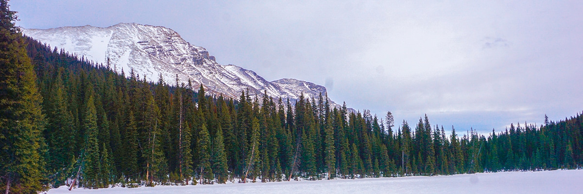 Panoramic views from Galatea Creek and Lillian Lake snowshoe trail in Kananaskis near Canmore