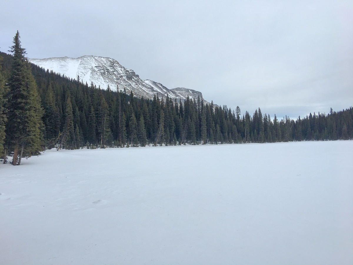 Wonderful views from Galatea Creek and Lillian Lake snowshoe trail in Kananaskis near Canmore