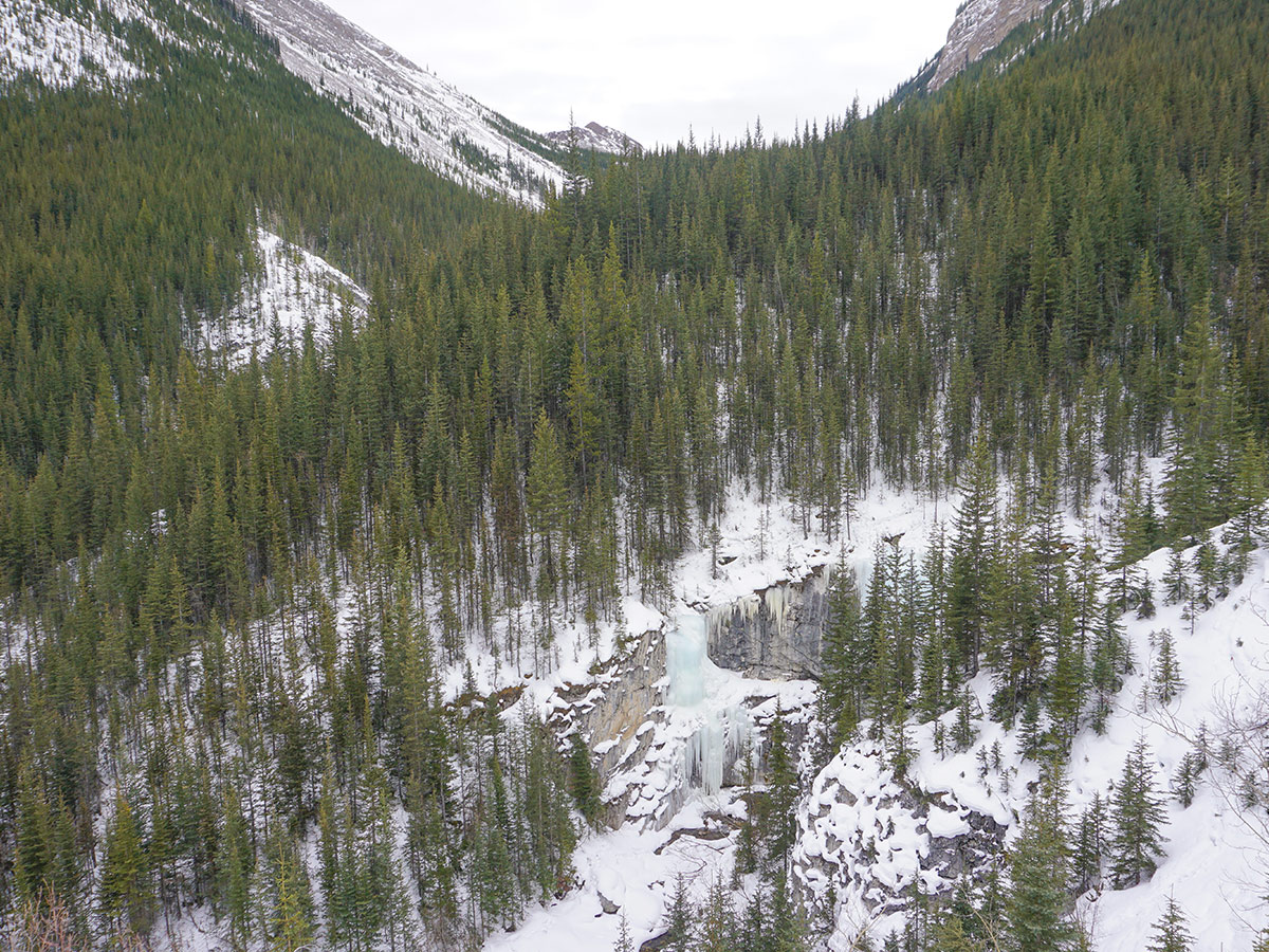 Icefall on Galatea Creek and Lillian Lake snowshoe trail in Kananaskis near Canmore