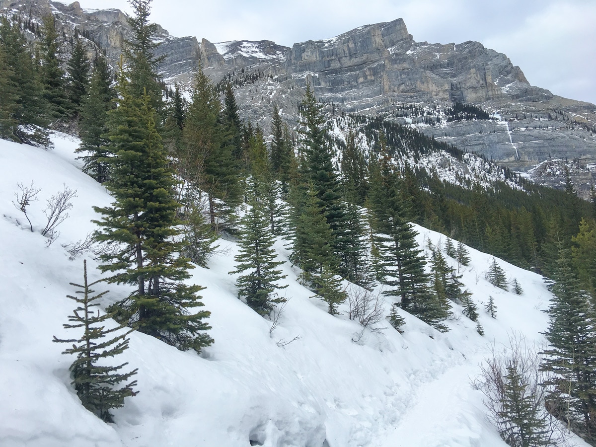 Beautiful peaks along Galatea Creek and Lillian Lake snowshoe trail in Kananaskis near Canmore