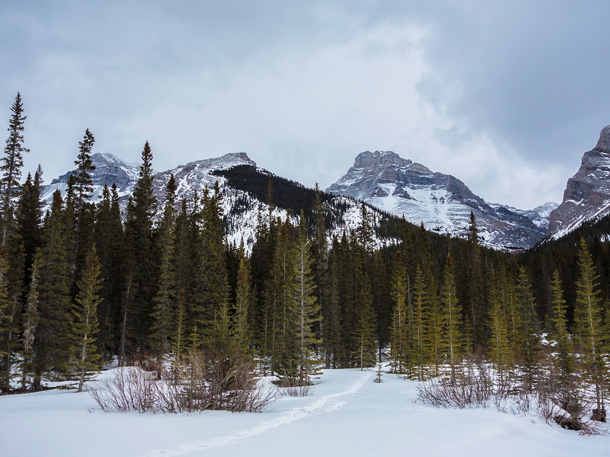 View from the road on Little Lougheed snowshoe trail in Kananaskis near Canmore