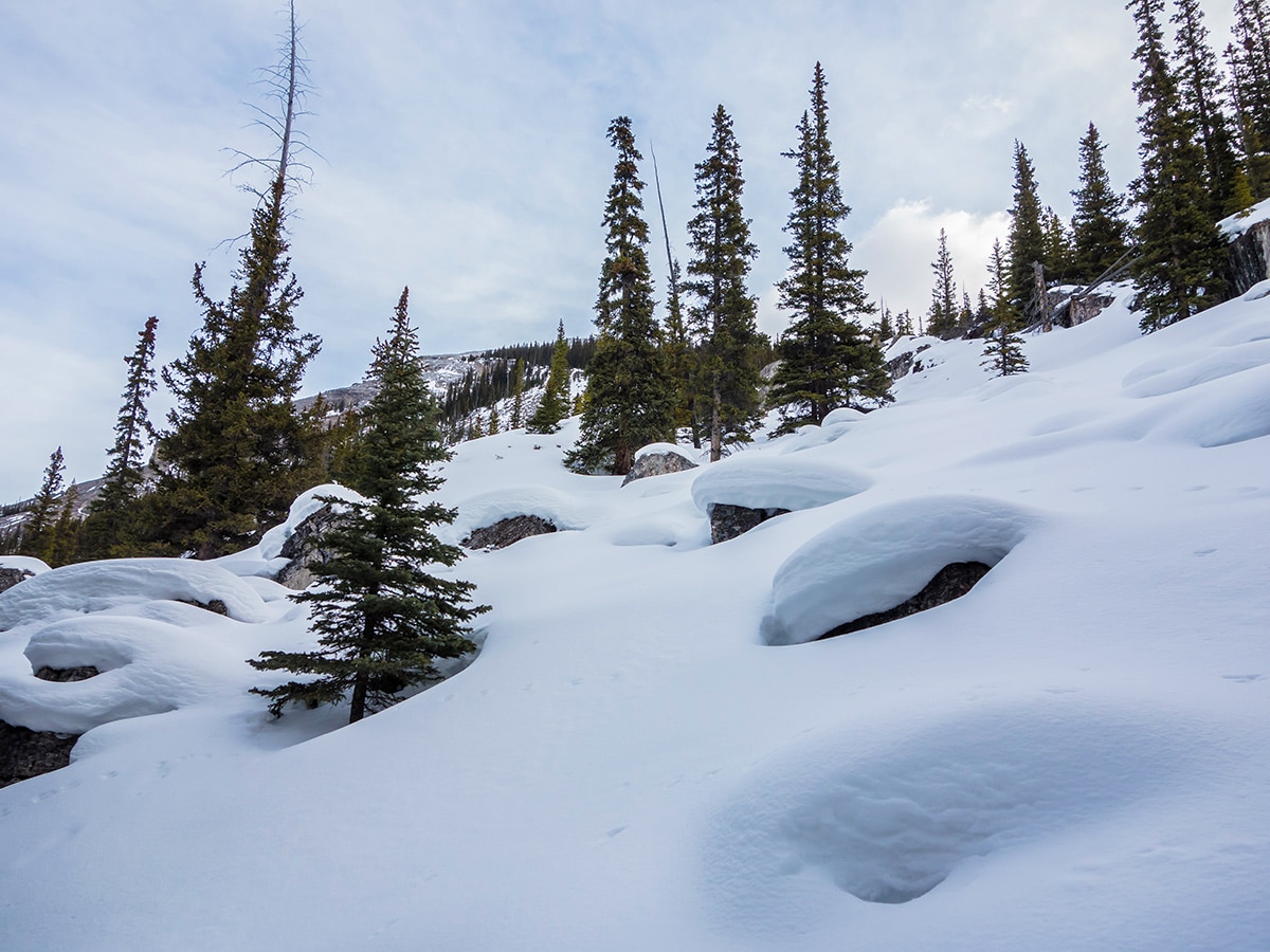 Boulder field on Little Lougheed snowshoe trail in Kananaskis near Canmore