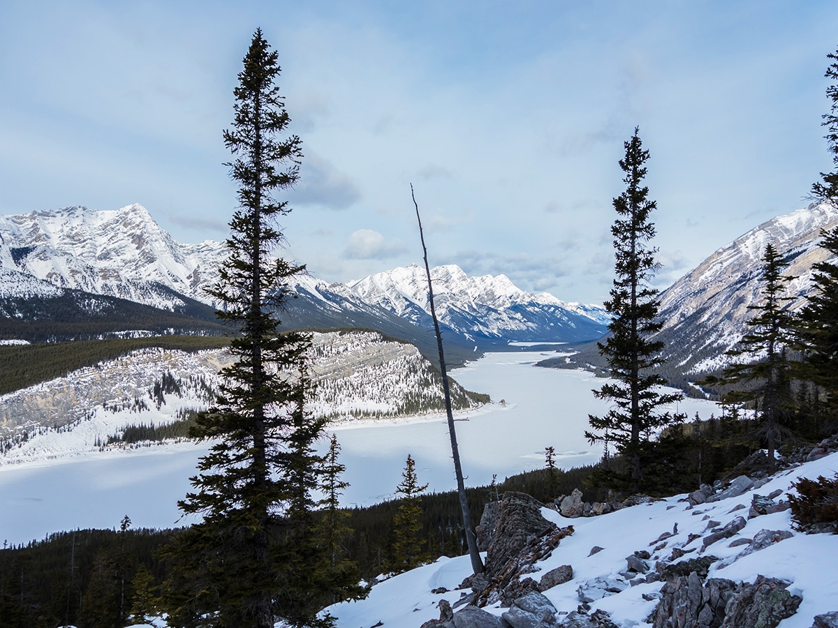 View northwest on Little Lougheed snowshoe trail in Kananaskis near Canmore