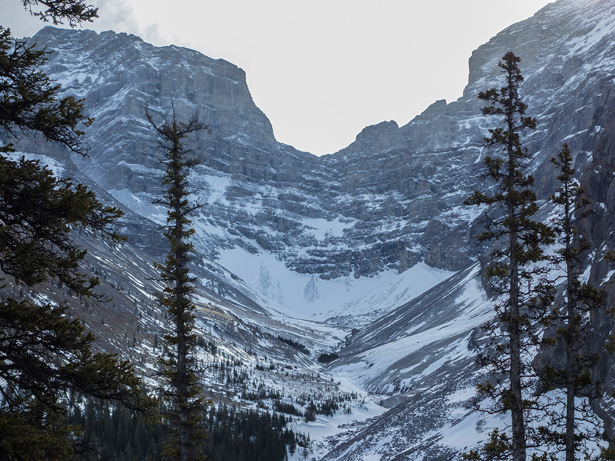 Spencer Creek on Little Lougheed snowshoe trail in Kananaskis near Canmore