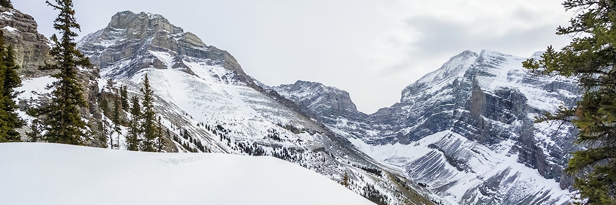 View southeast on Little Lougheed snowshoe trail in Kananaskis near Canmore