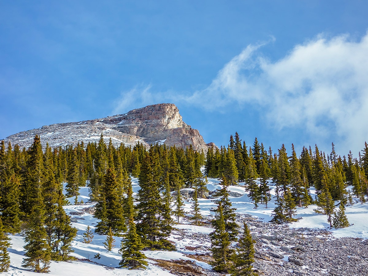 Near the summit on Little Lougheed snowshoe trail in Kananaskis near Canmore