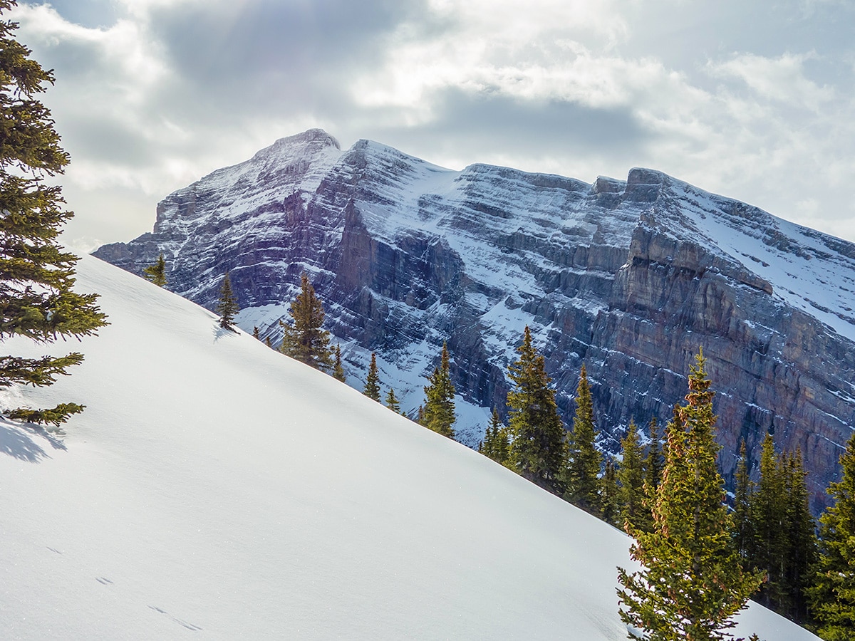 Mount Sparrowhawk view on Little Lougheed snowshoe trail in Kananaskis near Canmore