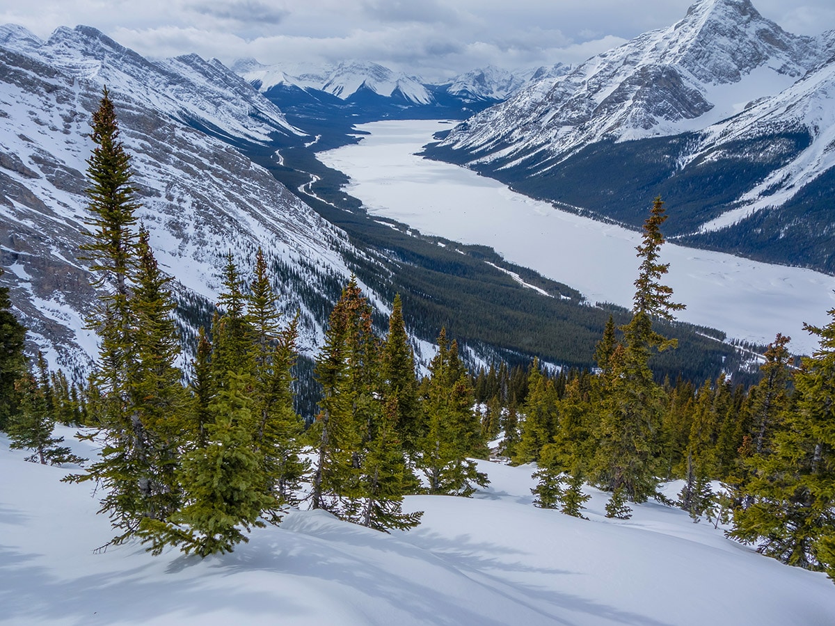 Views from Little Lougheed snowshoe trail in Kananaskis near Canmore