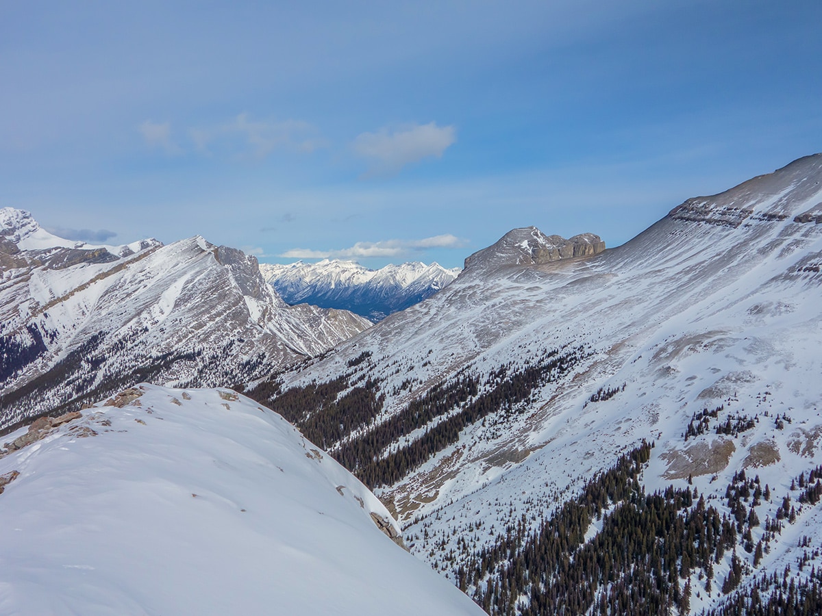 View north from Little Lougheed snowshoe trail in Kananaskis near Canmore