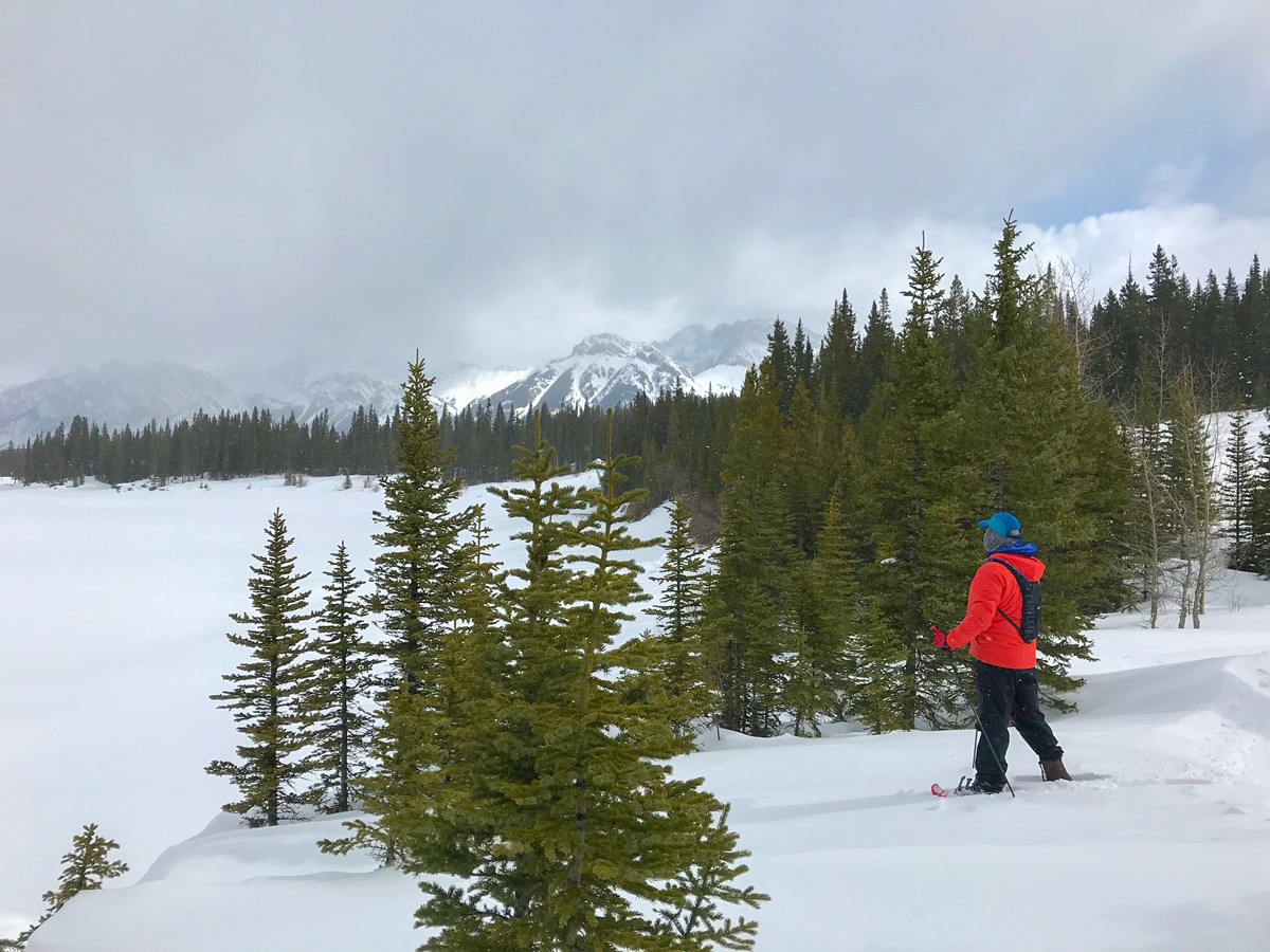 Views from Beginning of Rawson Lake snowshoe trail in Kananaskis near Canmore