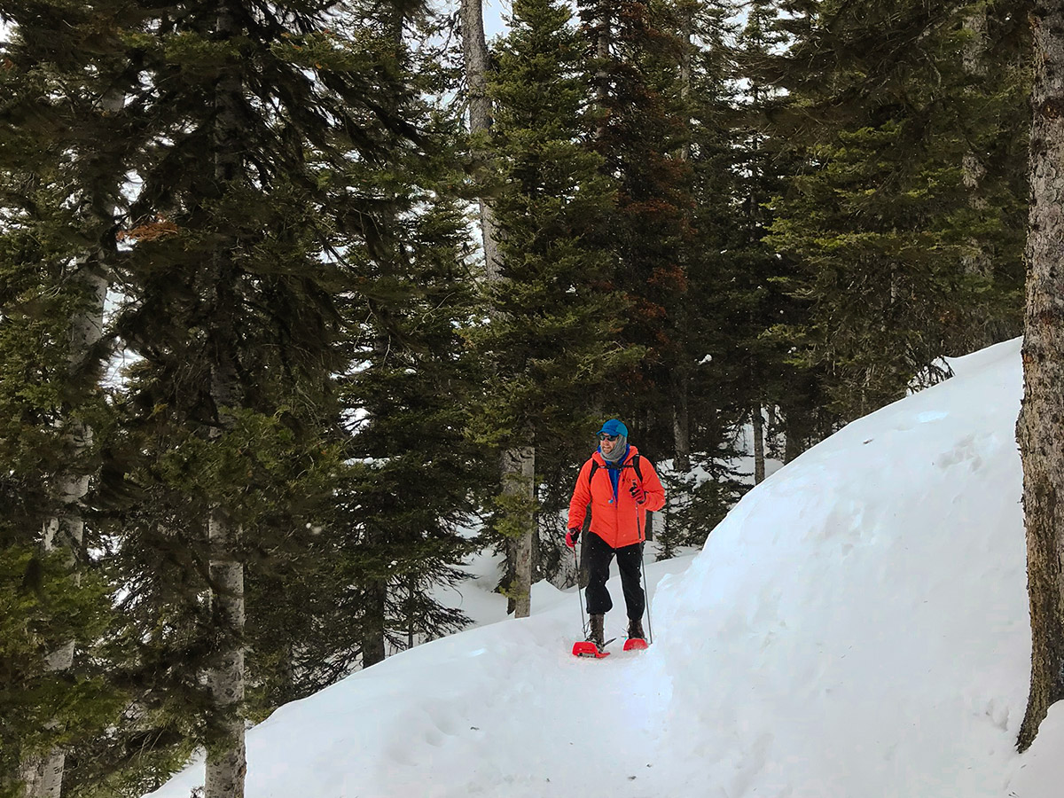 Trail through the trees on Beginning of Rawson Lake snowshoe trail in Kananaskis near Canmore