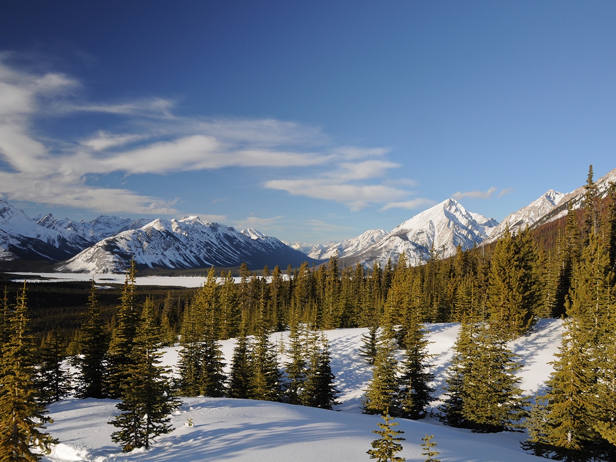 View of the valley from Rummel Lake snowshoe trail in Kananaskis near Canmore