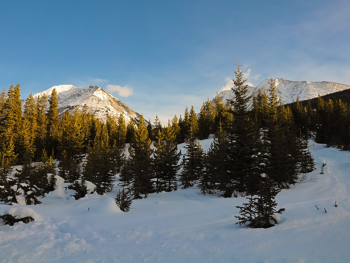 View uphill on Rummel Lake snowshoe trail in Kananaskis near Canmore