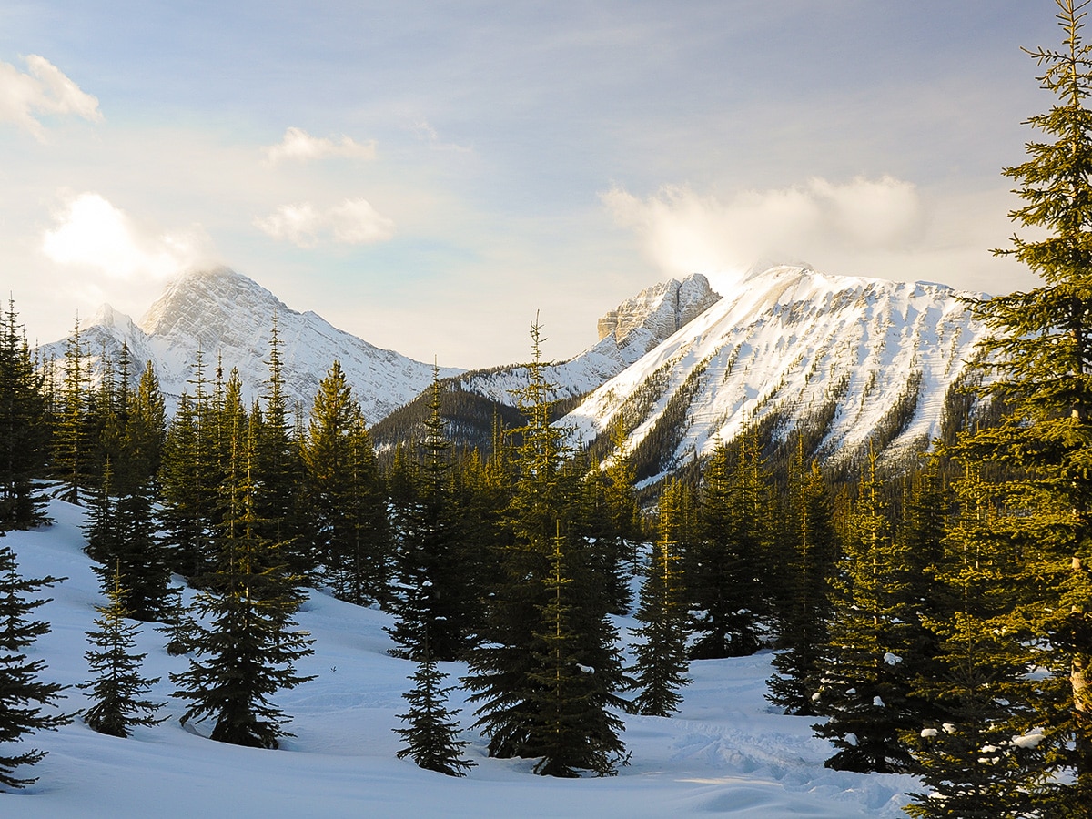 View southwest on Rummel Lake snowshoe trail in Kananaskis near Canmore