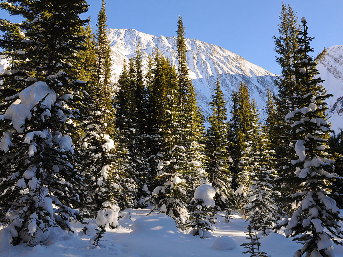 Panoramic views from Rummel Lake snowshoe trail in Kananaskis near Canmore