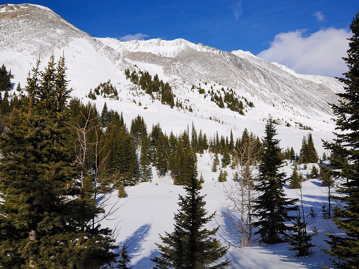 View up the valley that leads to Rummel Pass on Rummel Lake snowshoe trail in Kananaskis near Canmore