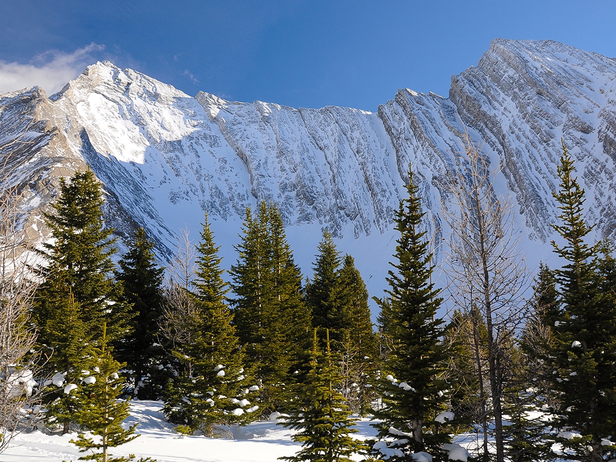 Mount Galatea on Rummel Lake snowshoe trail in Kananaskis near Canmore