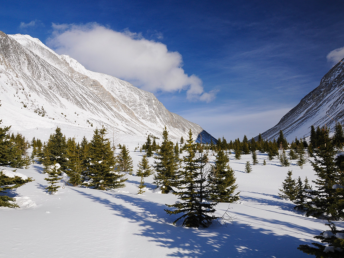 Beautiful scenery on Rummel Lake snowshoe trail in Kananaskis near Canmore