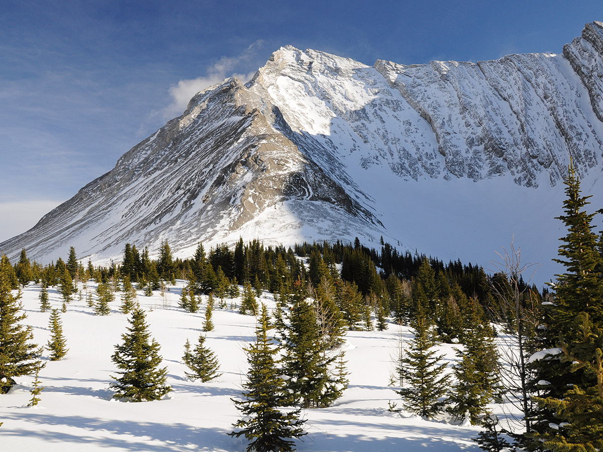 Great views on Rummel Lake snowshoe trail in Kananaskis near Canmore