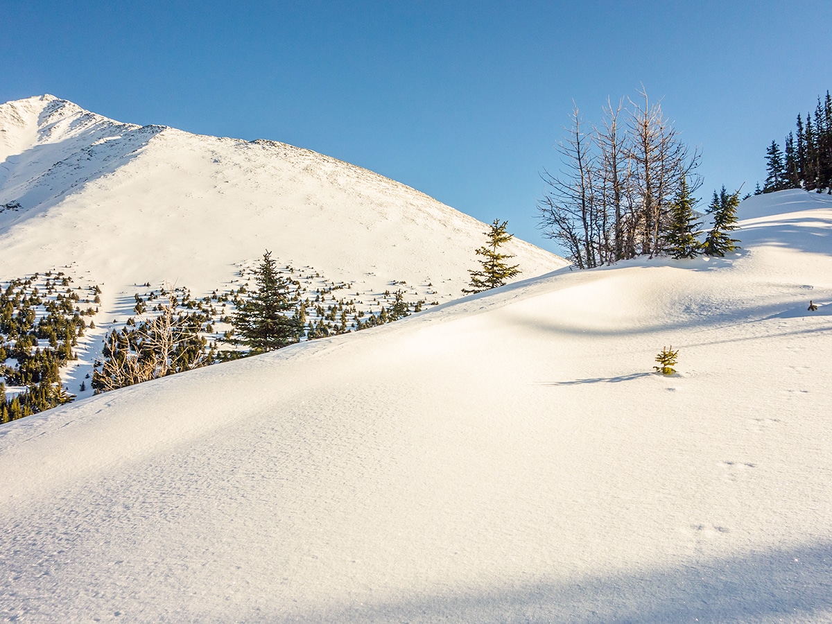 Rummel Ridge snowshoe trail in Kananaskis near Canmore