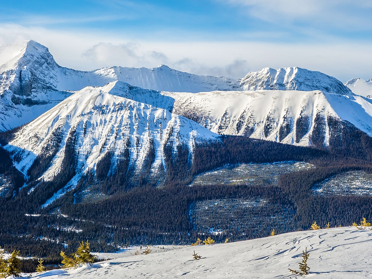 Tent Ridge on Rummel Ridge snowshoe trail in Kananaskis near Canmore