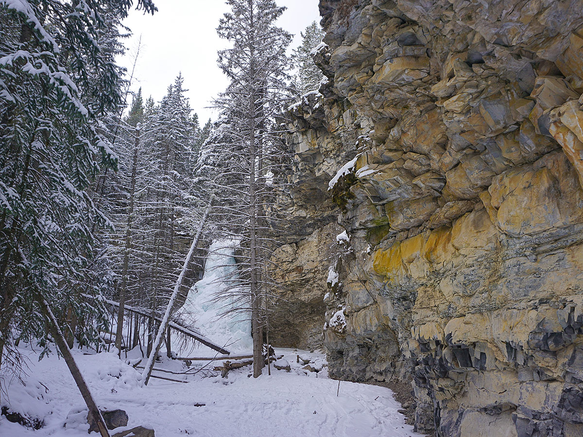 Great views on Troll Falls and Hay Meadows snowshoe trail in Kananaskis near Canmore